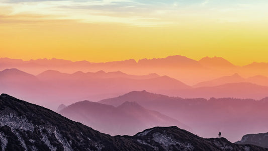 Celebrating Earth Day: our partnership with Planet